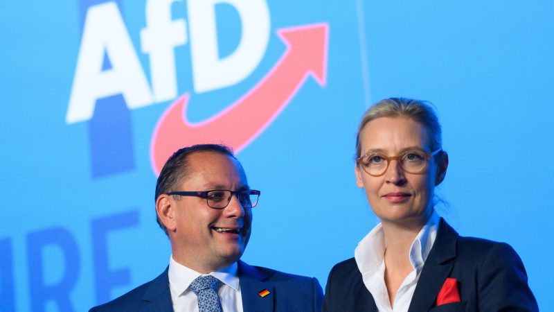 Die AfD-Bundesvorsitzenden: Tino Chrupalla (l.) und Alice Weidel.