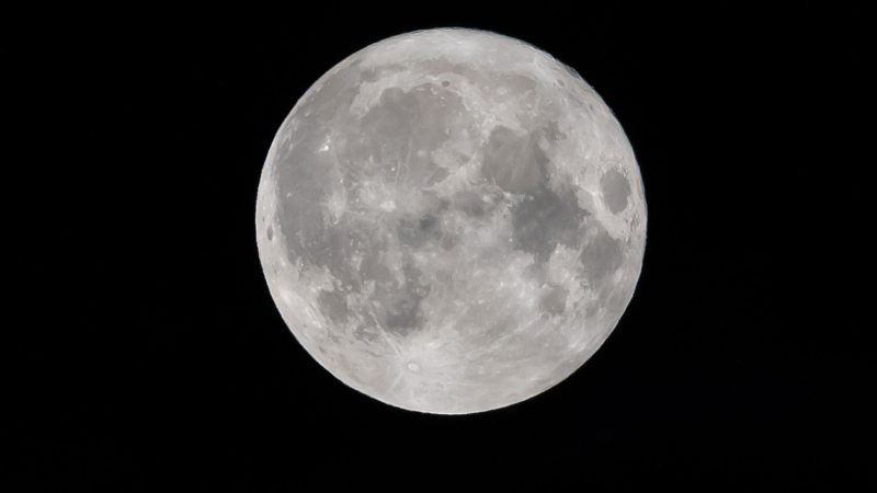 Russlands Raumsonde «Luna-25» soll am Freitag starten, um den Mond zu erforschen.