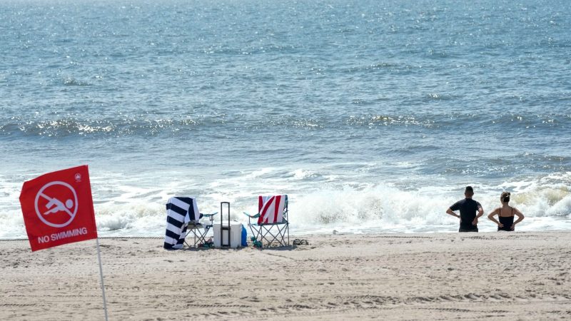 Der Strand von Rockaway wurde nach einem Hai-Angriff für einen Tag gesperrt.
