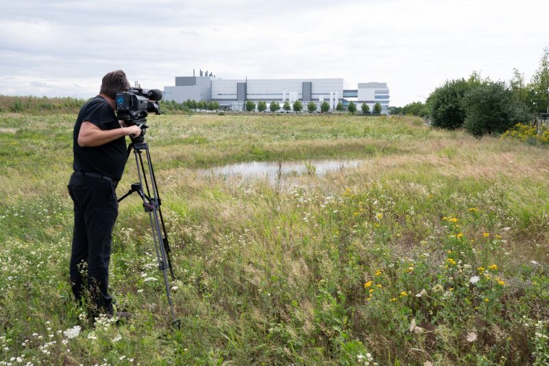 Ein Kameramann auf einer Wiese im Dresdner Stadtteil Klotzsche: In der Nähe der  Halbleiterfabrik von Bosch will auch der taiwanische Chiphersteller TSMC eine Fabrik errichten.