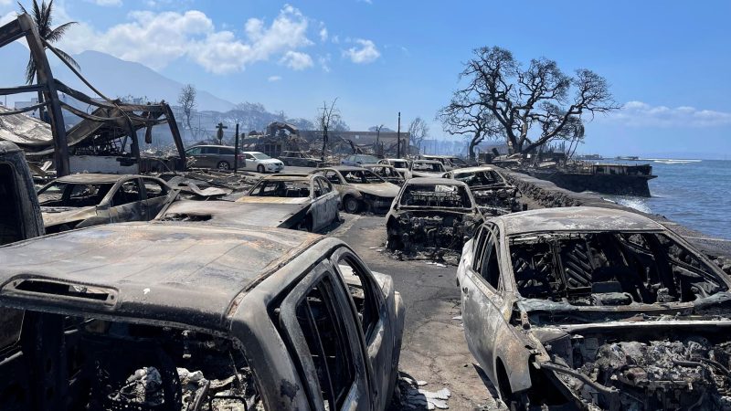 Ausgebrannte Autos stehen nach einem Waldbrand in Lahaina, Hawaii. Die Szene in einem der touristischen Zentren von Maui gleicht einer Einöde: Häuser und ganze Häuserblocks lagen in Schutt und Asche, während Feuerwehrleute gegen den tödlichsten Brand der letzten Jahre in den USA kämpften.