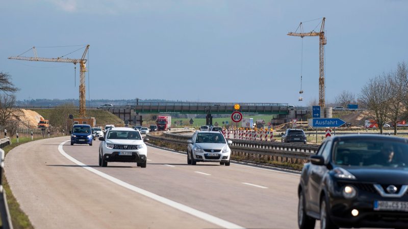 Fahrzeuge fahren auf der Autobahn 19 südlich von Rostock. (Archivbild)