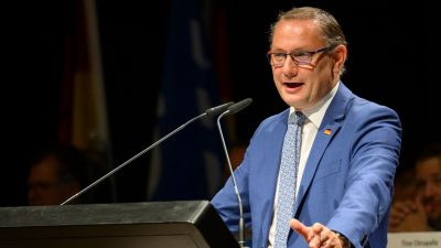 AfD-Chef Chrupalla will CDU halbieren