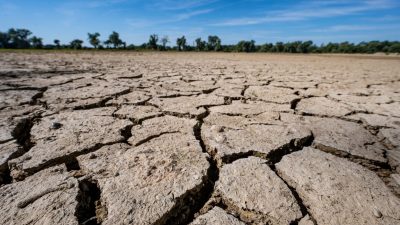 Dürre-Alarm vorschnell? Regen hat Böden durchfeuchtet – im Osten tiefe Erdschichten noch trocken