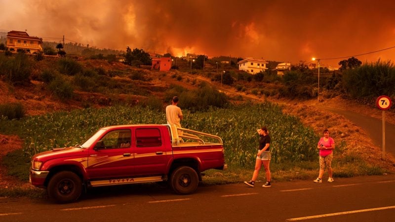 Der Waldbrand auf der Kanaren-Insel Teneriffa geht wohl auf Brandstiftung zurück.