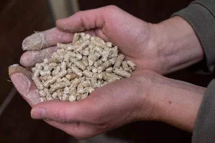 Energieberater: Run auf Kaminöfen und Pelletheizungen vorbei