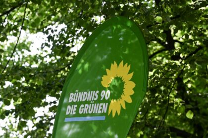 Hessische Grünen-Vorsitzende Anders tritt zurück