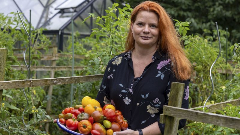 Wie eine Gärtnerin die Tomatenvielfalt retten will