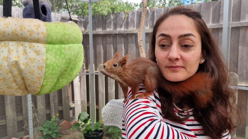 Tierschützerin Mona Gahrib hat ein Eichhörnchen auf der Schulter.