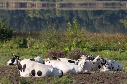 Handarbeit mit Kopf: Ökodorf Brodowin denkt anders