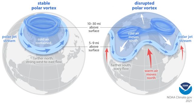 Ein starker Polarwirbel kann den Jetstream stabilisieren und den Effekt der Luftmassengrenze verstärken (links). Schwache Winde können umgekehrt zu starken Kälteeinbrüchen im Winter führen (rechts).