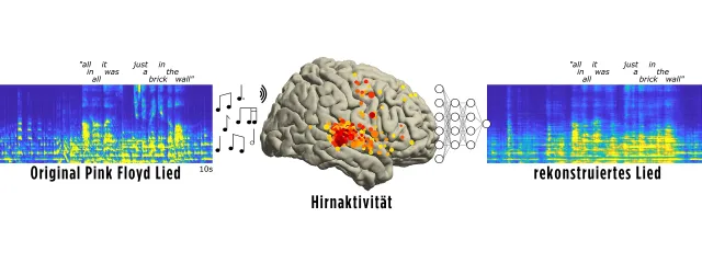 Während Menschen das Lied „Another Brick in the Wall“ von Pink Floyd (Original, rechts) hörten, zeichneten Neurowissenschaftler die elektrische Aktivität von Hirnregionen (gelbe und rote Punkte) auf. Mithilfe einer Software für künstliche Intelligenz konnten sie den Song aus den Gehirnaufzeichnungen rekonstruieren (links).
