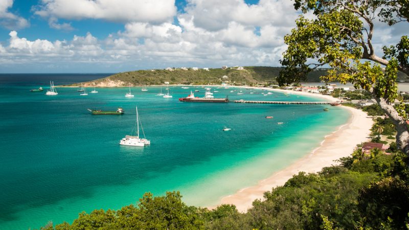KI-Boom: Karibischer Inselstaat hat Millioneneinnahmen mit Domainname