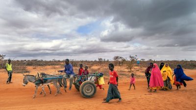 Afrika-Klimagipfel: Energiewende und Finanzen stehen im Fokus