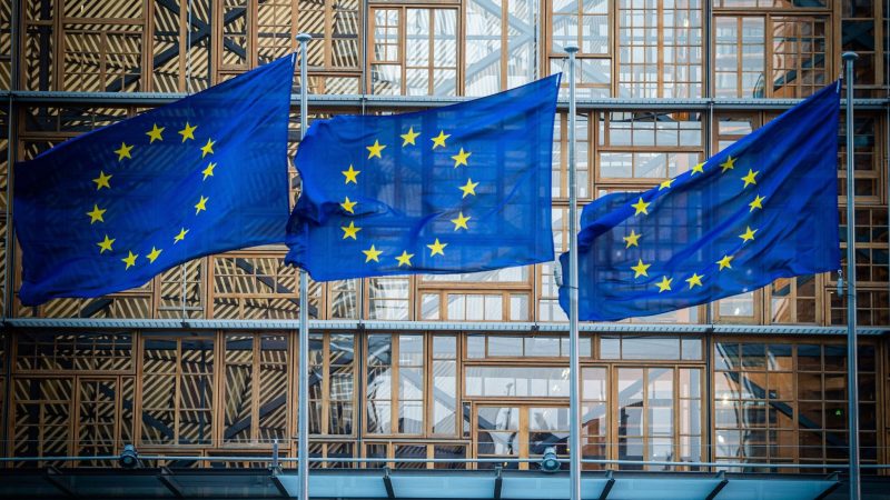 FDP gibt erneut nach: Deutschland wird weltweit erstem KI-Gesetz der EU zustimmen