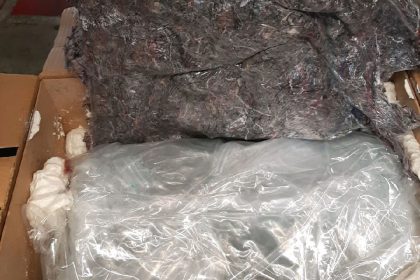 Über eine Tonne Marihuana bei Durchsuchungen im Großraum Berlin beschlagnahmt