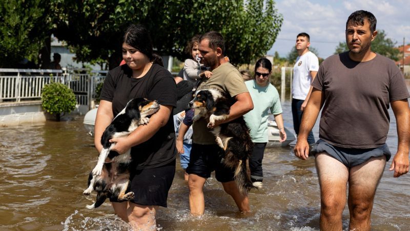 Evakuierte tragen im überschwemmten Dorf Palamas nahe der Stadt Karditsa in Zentralgriechenland ihre Hunde durch die Fluten.