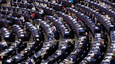 Angeführt von der AfD: Kleine Rechtsparteien gründen neue Fraktion im Europaparlament