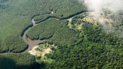14 Tote bei Absturz von Flugzeug im brasilianischen Amazonas-Gebiet