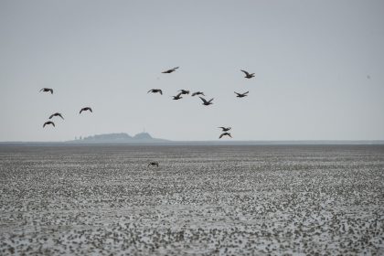 Unesco warnt vor Öl- und Gasförderung im Welterbe Wattenmeer
