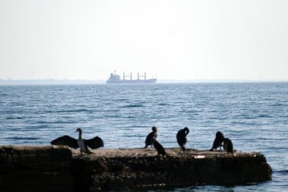 150 Strände gesperrt: Ölpest im Schwarzen Meer schlimmer als bisher bekannt