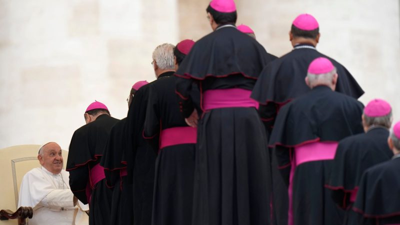 Um Papst Franziskus während seiner Generalaudienz im Vatikan die Hand zu schütteln, stehen die Bischöfe Schlange.