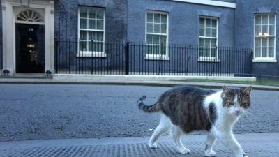 Downing Street dementiert Gerüchte über Kater Larry