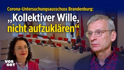 Corona-Untersuchungsausschuss: AfD-Politiker wirft PEI-Abteilungsleiterin und Ausschussvorsitzenden „Vertuschung“ vor