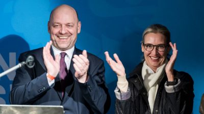 Der Aufstieg der AfD: „Die SPD als Volkspartei ablösen“