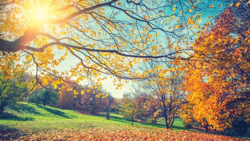 Schöner Herbst – von Kurt Tucholsky