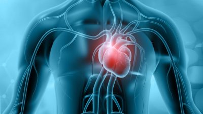 Studie: Herzmuskelentzündungen bei Geimpften häufiger als bisher vermutet