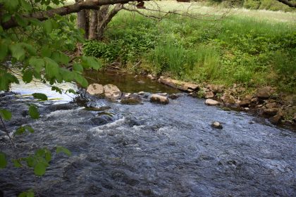 Fischsterben in der Elz: Polizei ermittelt Verdächtigen