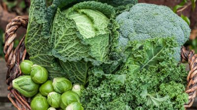 Fit durch die kalte Jahreszeit: Die Top 3 Gemüsesorten für Herbst und Winter