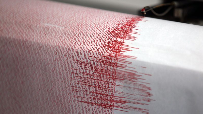 Ein Seismograph verzeichnet Erdbebenwerte (Symbolbild).