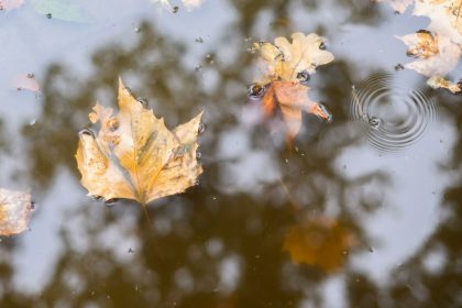 Der Herbst ist da: Erste Sturmflut an Nordsee – Temperaturabsturz im Südwesten