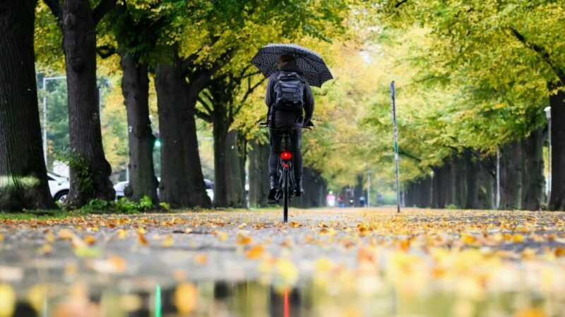 Ein Radfahrerin fährt mit einem Regenschirm durch eine herbstlich verfärbte Allee am Maschsee in Hannover.