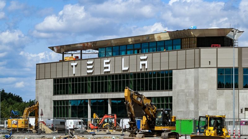 Autobauer Tesla will sein Werk in Grünheide erweitern - Umweltverbände haben Bedenken.