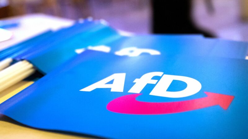 AfD auch in Sachsen-Anhalt „gesichert rechtsextremistisch“ – Verfassungsschutz sieht Radikalisierung