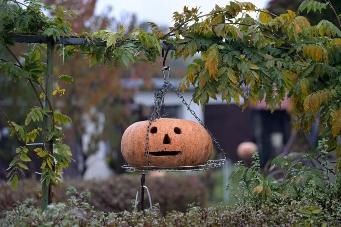 Der Spuk geht wieder los: Das Licht im ausgehöhlten Kürbis soll der Tradition nach den Teufel und böse Geister fernhalten.
