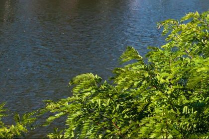 Großfahndung: Mörder bei Baggersee-Spaziergang geflüchtet