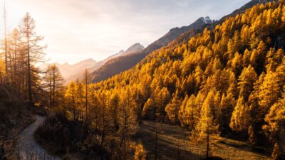 Herbstabend im Gebirge – von Wang Wei