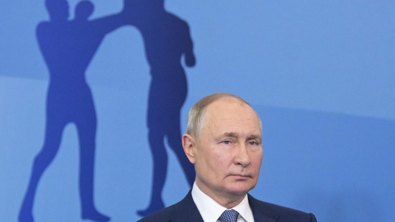 Russlands Präsident Wladimir Putin hat selbst einmal gesagt, dass ihm aus Sicherheitsgründen die Nutzung eines Doppelgängers bei offiziellen Terminen ans Herz gelegt worden sei.