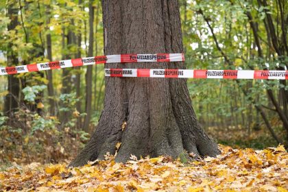 Dresden: Frau lügt und löst damit Großeinsatz aus