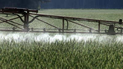 EU-Parlament lehnt Gesetz für weniger Pestizide ab