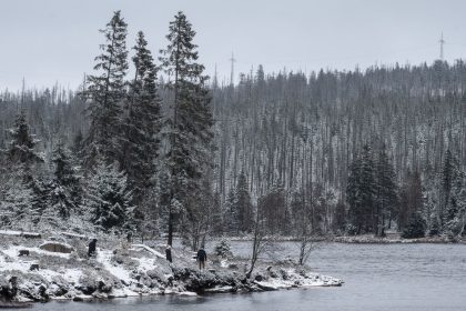 Winterwetter in Deutschland mit Schnee und Kälte