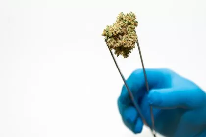 Studie enthüllt: Cannabis kann DNA verändern und schwere Krankheiten auslösen
