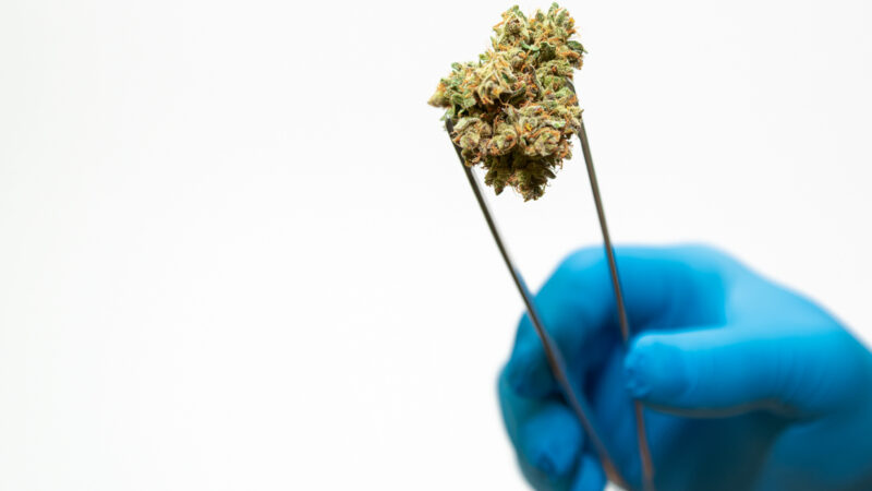 Studie enthüllt: Cannabis kann DNA verändern und schwere Krankheiten auslösen