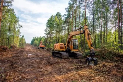 155 Millionen Euro im Rahmen des Wald-Klima-Pakets abgerufen