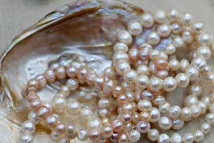 Die Kraft des Perlenpulvers: Uraltes Heilmittel wissenschaftlich bestätigt