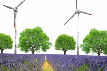 Windkraft vs. Biodiversität: Gericht entscheidet gegen Windpark